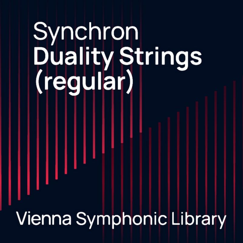 Vienna Synchron Duality Strings (Regular)