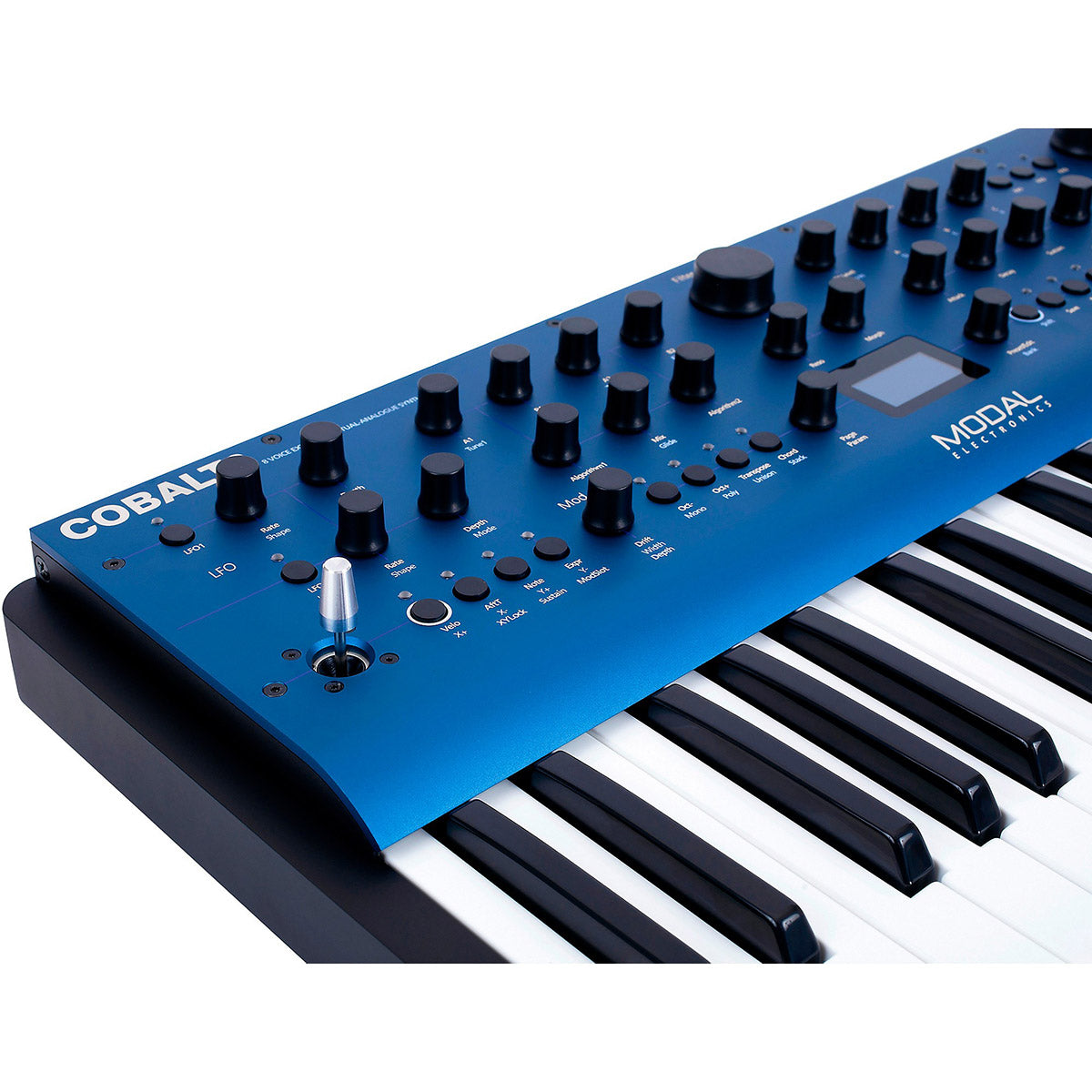 Modal Electronics Cobalt8 Extended Virtual Analog Synthesizer