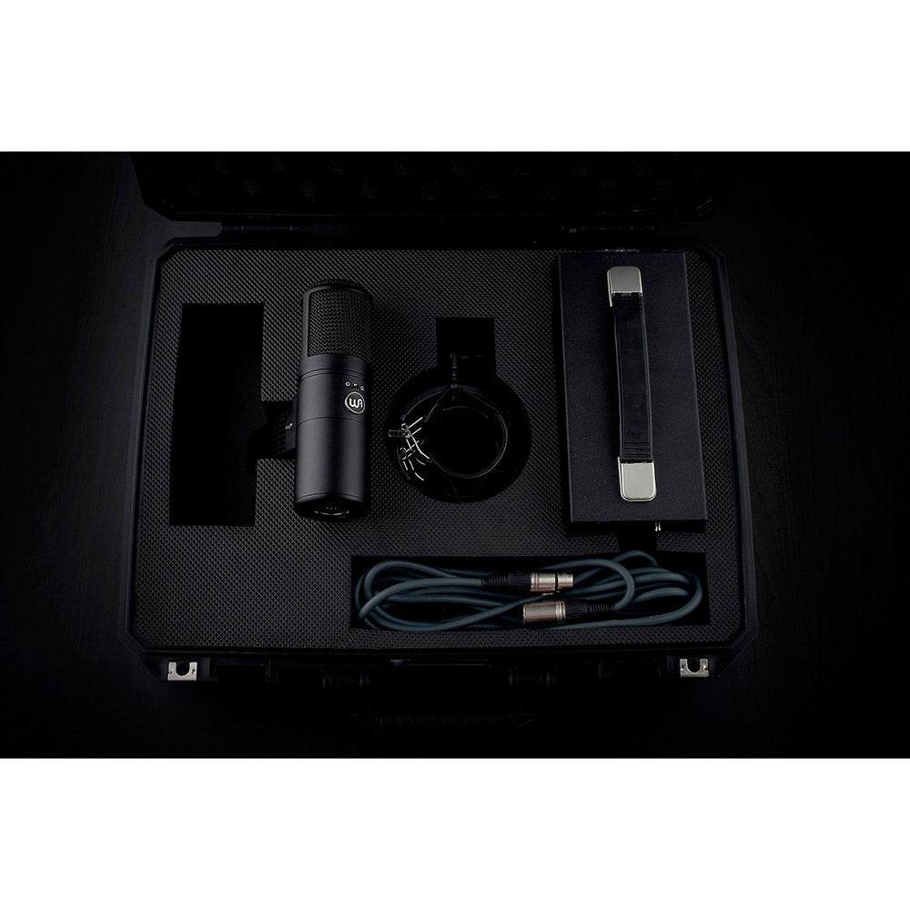 Warm Audio WA-8000 Tube Condenser Microphone