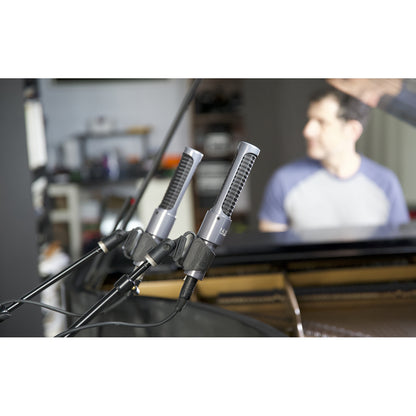 AEA Nuvo N13 Ribbon Microphone (Active)