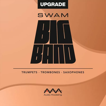 Audio Modeling SWAM Big Band Bundle - Upgrade