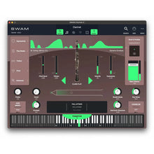 Audio Modeling SWAM Clarinet