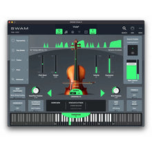 Audio Modeling SWAM Viola