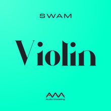 Audio Modeling SWAM Violin Virtual Instrument 