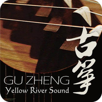 Best Service Gu Zheng
