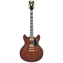 D'Angelico Deluxe DC Electric Guitar (Semi-Hollowbody - Satin Brown Burst)