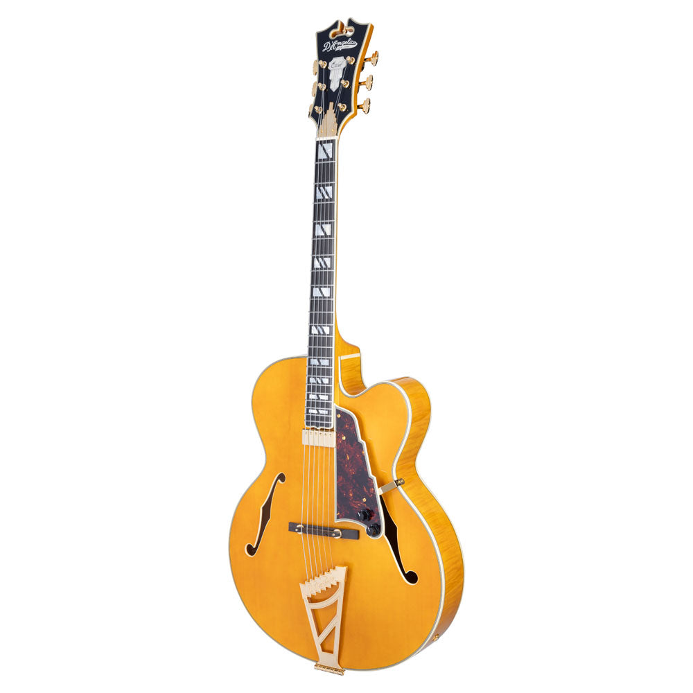 D'Angelico Excel EXL-1 Electric Guitar (Hollowbody - Amber)