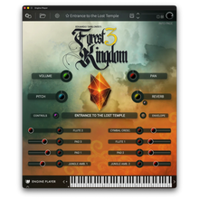 Engine Audio Forest Kingdom 3 - Soundscapes