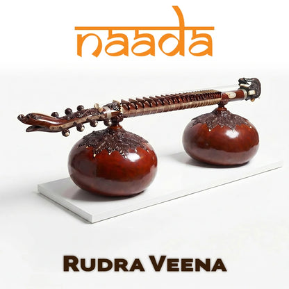 GeoShred Naada Rudra Veena