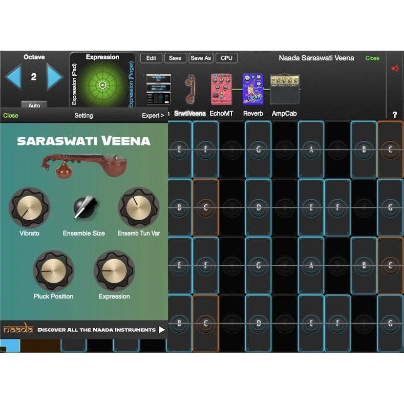 GeoShred Naada Saraswati Veena