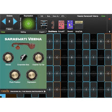 GeoShred Naada Saraswati Veena