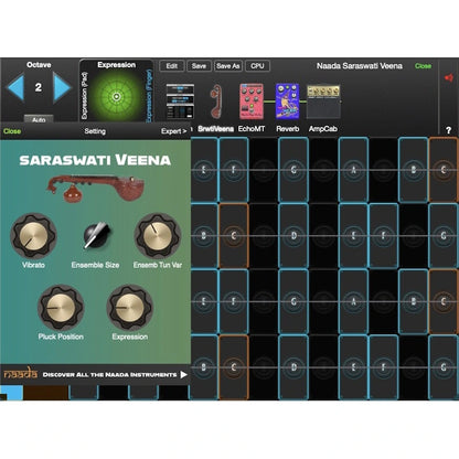 GeoShred Naada Saraswati Veena