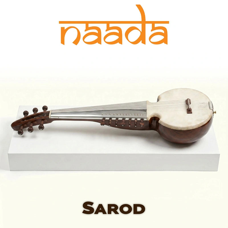 GeoShred Naada Sarod