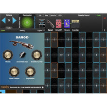 GeoShred Naada Sarod
