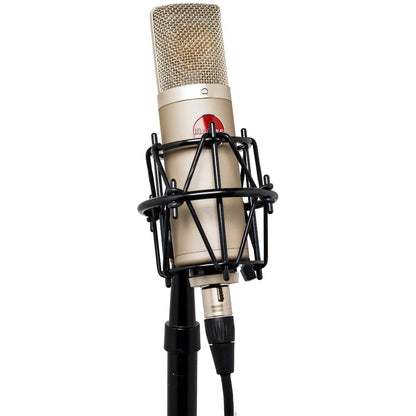 Mojave Audio MA-200 Microphone (Satin Nickel)