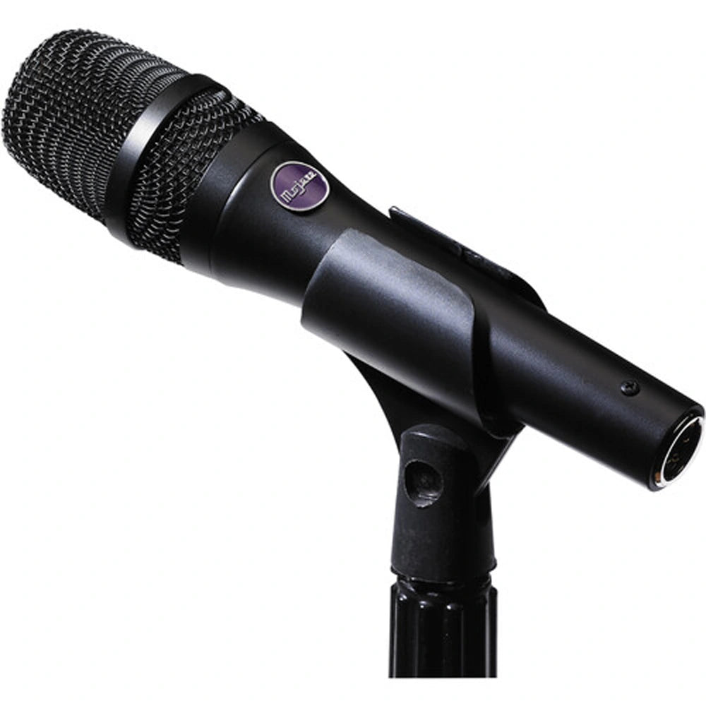 Mojave Audio MA-D Dynamic Microphone