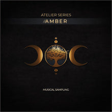 Musical Sampling Atelier Series Amber Virtual Instrument