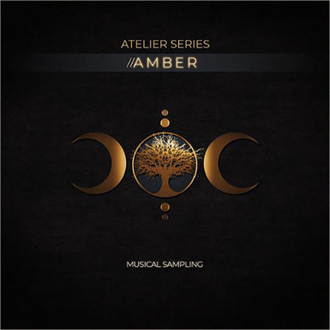 Musical Sampling Atelier Series Amber Virtual Instrument