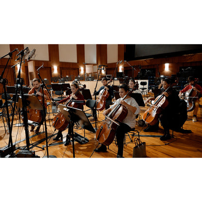 Vienna Symphonic Library Synchron Duality Strings Bundle