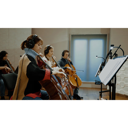 Vienna Symphonic Library Synchron Duality Strings Bundle