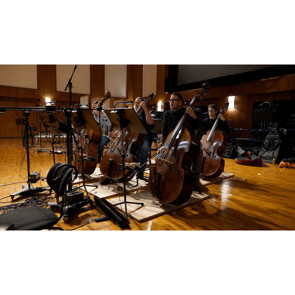 Vienna Symphonic Library Synchron Duality Strings Bundle