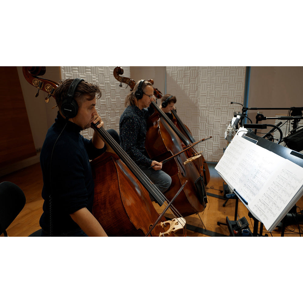 Vienna Symphonic Library Synchron Duality Strings Bundle