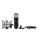 Universal Audio Sphere DLX Modeling Microphone System