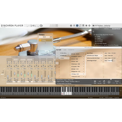 Vienna Symphonic Library Synchron World Percussion