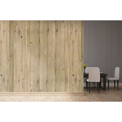 ViCoustic Flat Panel VMT (Environmental Examples)