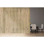 ViCoustic Flat Panel VMT (Environmental Examples)