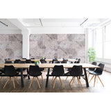 ViCoustic Flat Panel VMT (Environmental Examples)