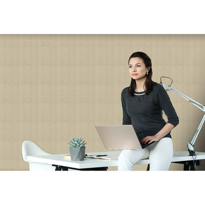 ViCoustic VicWallpaper VMT (Environmental Examples)