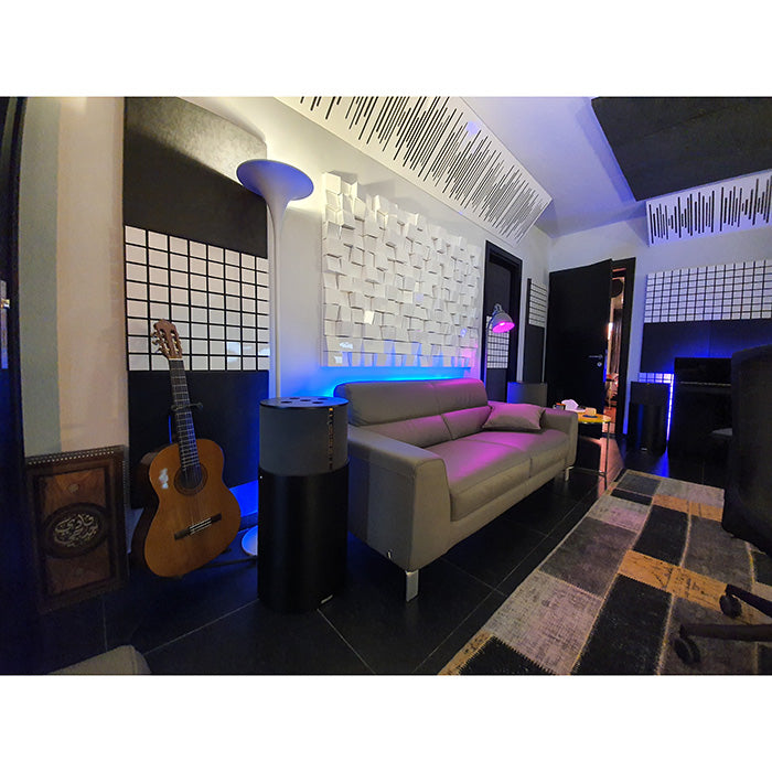 ViCoustic VariBass Ultra (Black 2-Unit)