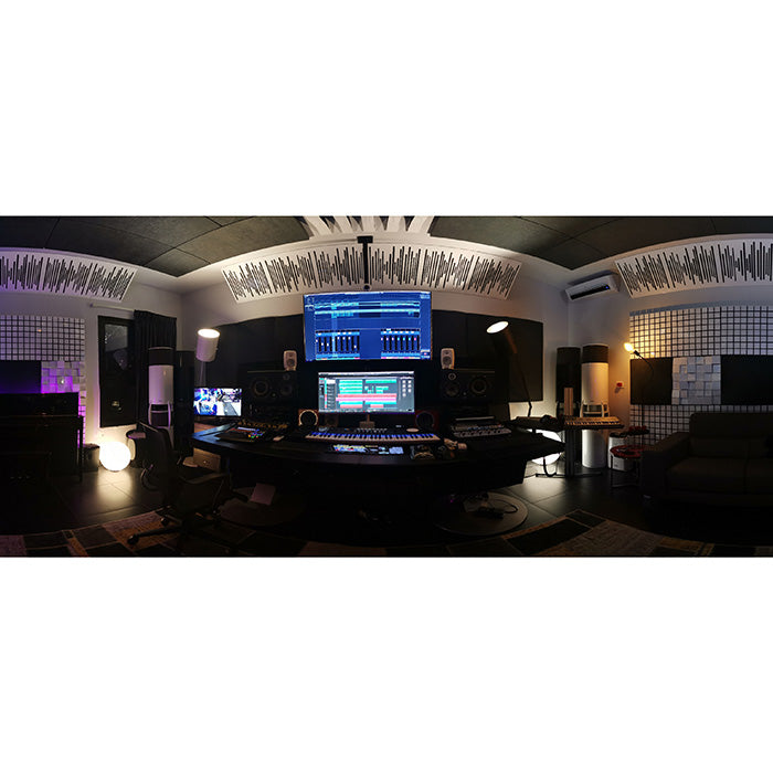 ViCoustic VariBass Ultra (Black 2-Unit)