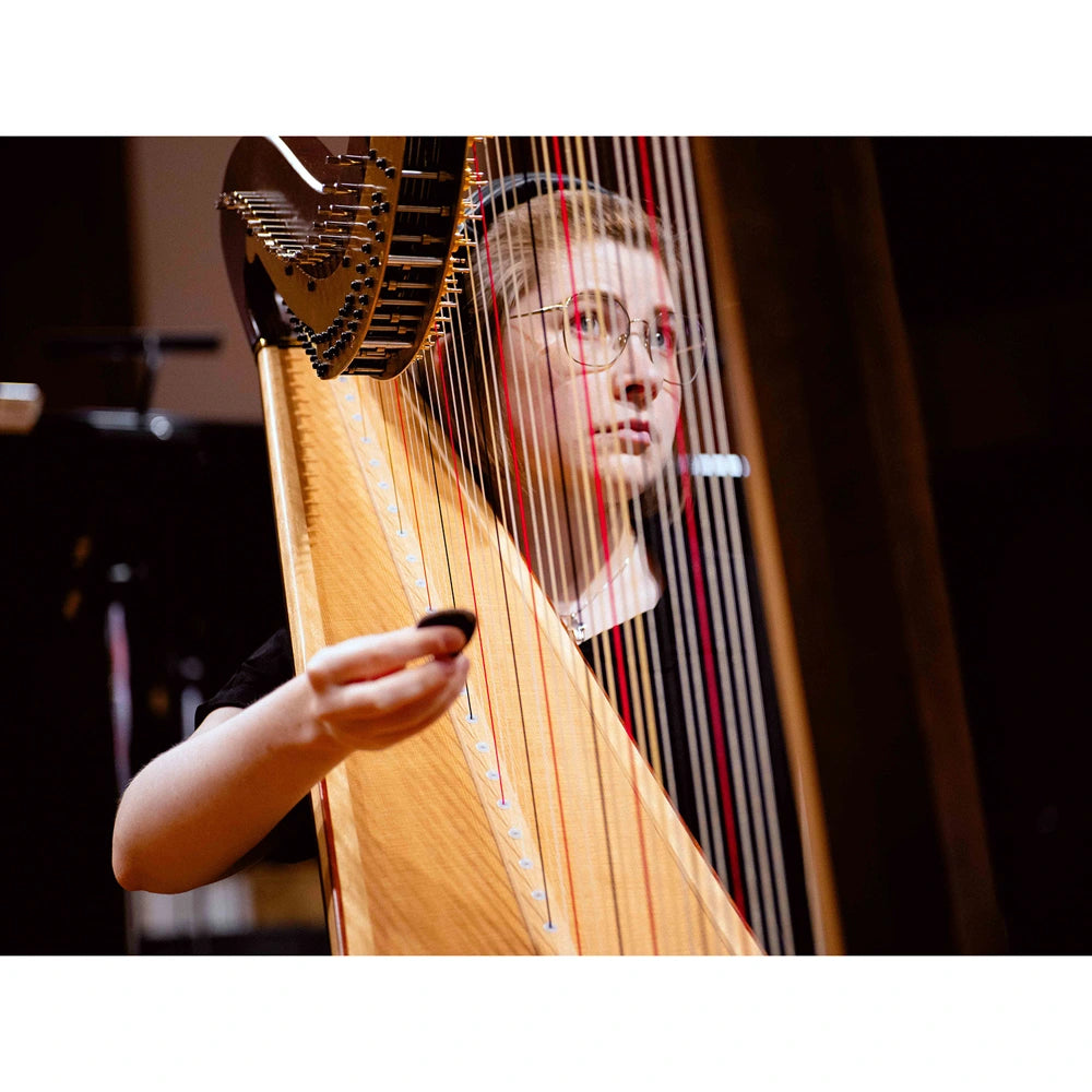 Vienna Symphonic Library BBO Harps