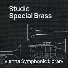 Vienna Symphonic Library Studio Special Brass