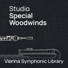 Vienna Symphonic Library Studio Special Woodwinds