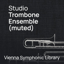 Vienna Symphonic Library Studio Timpani