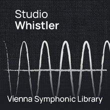 Vienna Symphonic Library Studio Whistler
