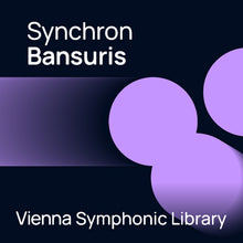 Vienna Symphonic Library Synchron Bansuris