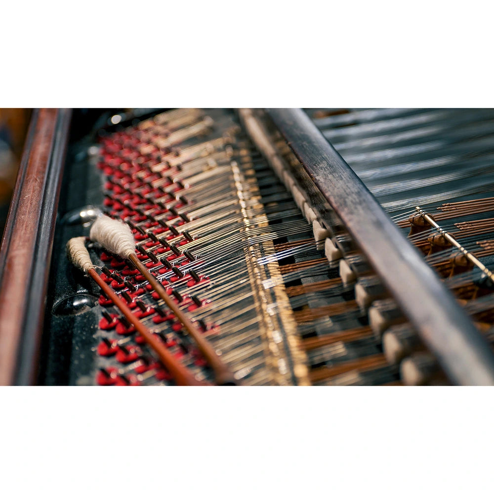 Vienna Symphonic Library Synchron Cimbalom