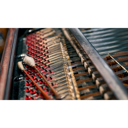 Vienna Symphonic Library Synchron Cimbalom