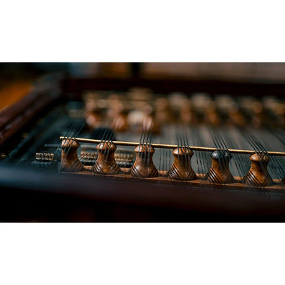 Vienna Symphonic Library Synchron Cimbalom