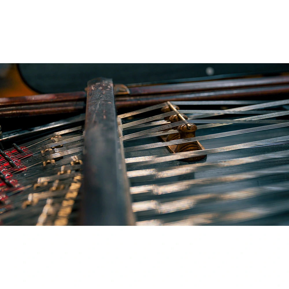 Vienna Symphonic Library Synchron Cimbalom