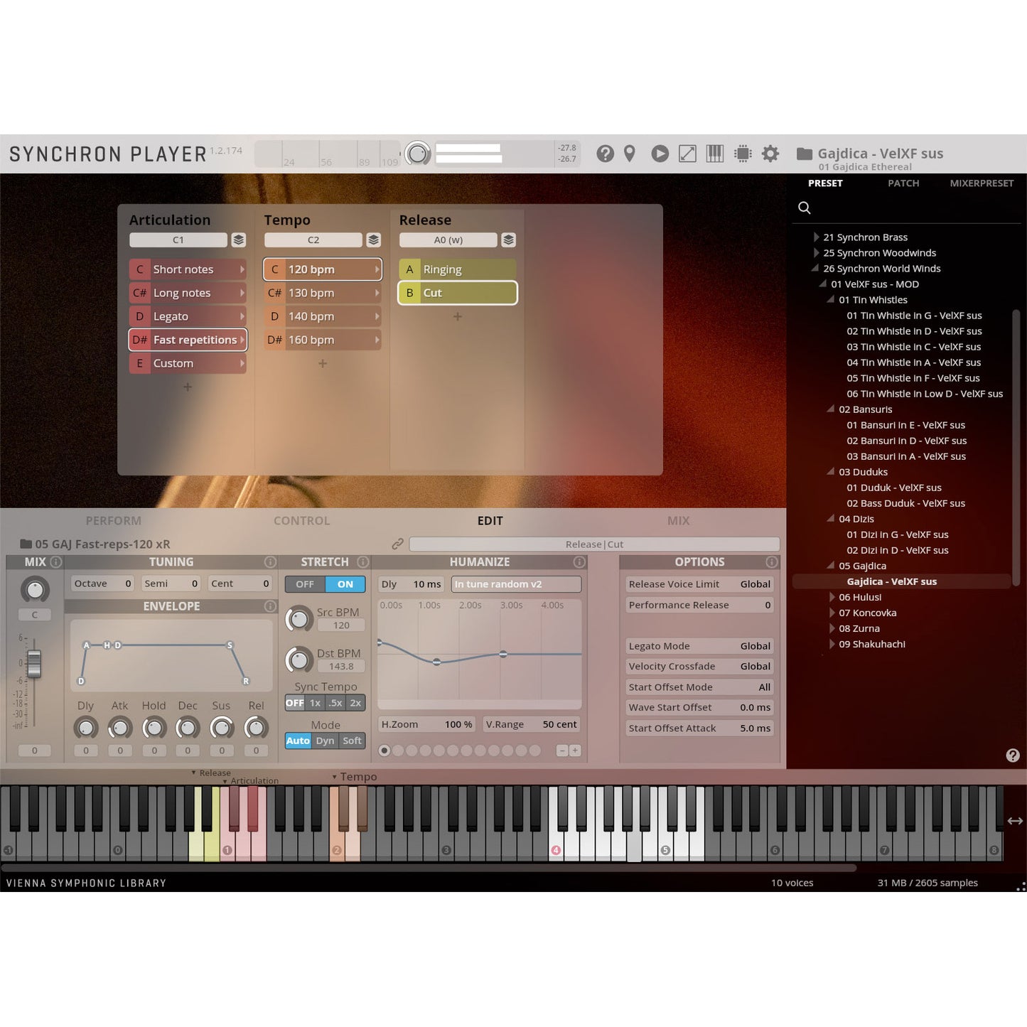 Vienna Symphonic Library Synchron Gajdica