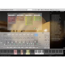 Vienna Symphonic Library Synchron Hulusi