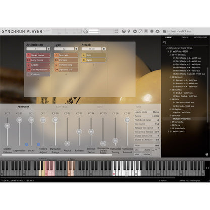 Vienna Symphonic Library Synchron Hulusi