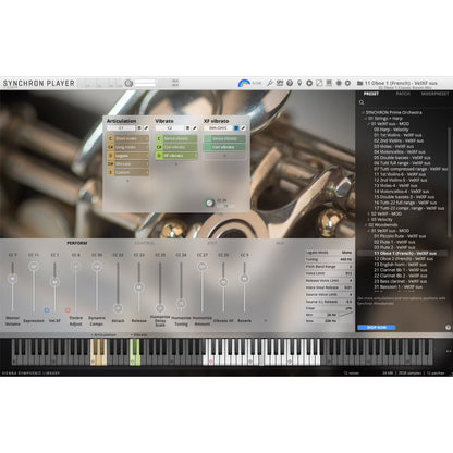 Vienna Symphonic Library Synchron Prime Woodwinds