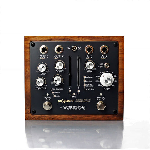 Vongon Polyphrase Stereo Echo Effect with Infinite Feedback Loop