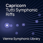 Vienna Big Bang Orchestra Capricorn - Tutti Symphonic Riffs